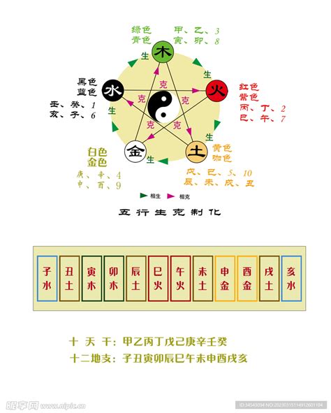 丁五行|十天干十二地支